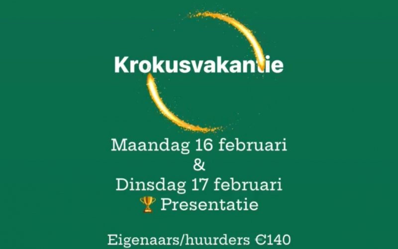 Krokusvakantie 'Horsemanship' 2-daagse STAGE - Huurpaard/pony
