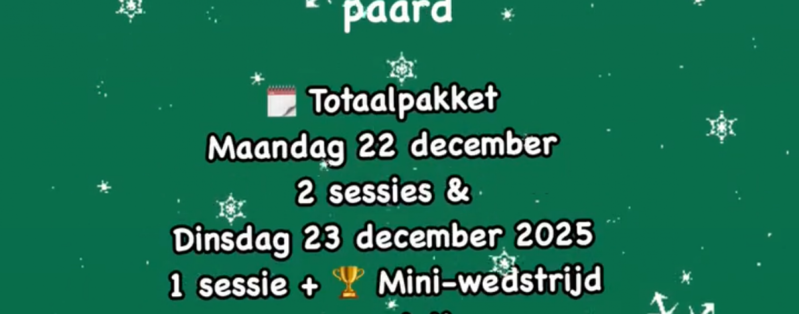 'Horsemanship' Stage (2 dagen) - Eigenaars/huurders