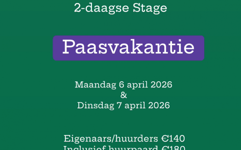 Paasvakantie 'Horsemanship' 2-daagse STAGE - Incl. Huurpaard/pony